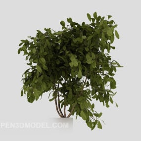 Outdoor-Pflanzenbusch, Kreisform, 3D-Modell