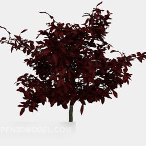 Utomhusträd Common Plant Sapling 3d-modell