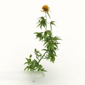 Outdoor Wild Plants Flower 3d model