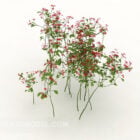 Outdoor Flower Plant 3d Model Download