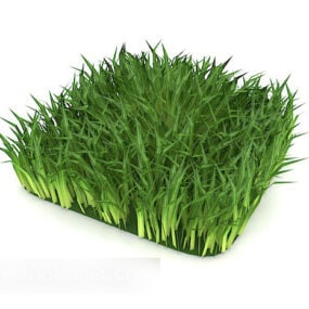 Modèle 3D réaliste d'herbe verte extérieure