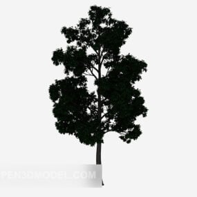 Outdoor Big Tree 3d model