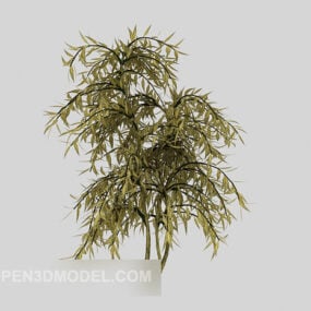 Outdoor Tree Plant Big Leaf 3d model