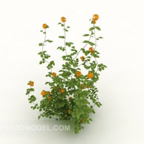 Wildes Chrysanthemenbaum-3D-Modell im Freien