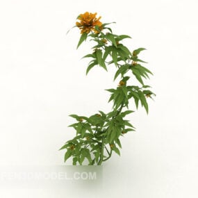 Outdoor Wild Flowering Plant 3d model