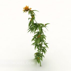 Outdoor Wild Plant Flower 3d model