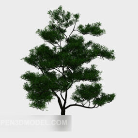 Outdoor Broad Leaf Tree 3D-malli