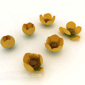 Outdoor Cultivated Flower 3d model