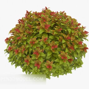 Modello 3d della pianta della cintura verde all'aperto