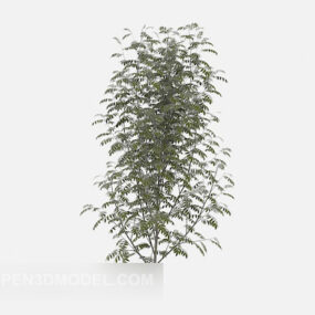 نموذج ثلاثي الأبعاد لشجرة النباتات الخضراء الخارجية