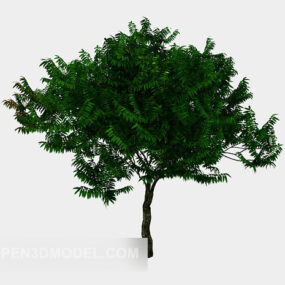 דגם תלת מימד של עץ ירוק עץ רחב