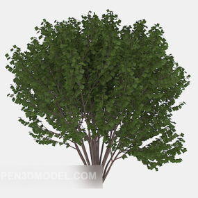 نموذج شجرة نبات الخشب الأخضر الخارجي ثلاثي الأبعاد