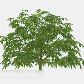 Modelo 3d de árvore verde de planta perene ao ar livre