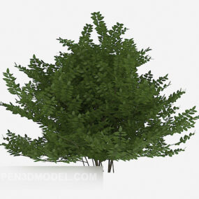 Utomhusväxt planta träd 3d-modell