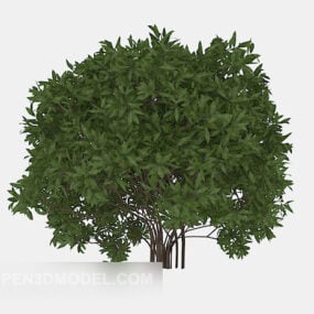 3D-Modell einer hohen grünen Blattpflanze im Freien