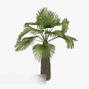 花园棕榈植物3d模型