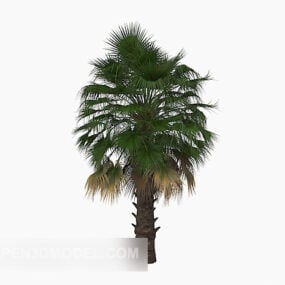 棕榈植物美容树3d模型