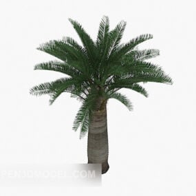 Gemeenschappelijk palmboomplant 3D-model