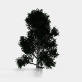 Park Big Green Tree 3d model