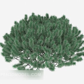 Pine Branch Girl 3d-model