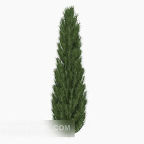 Garden Pine Plant Tree 3d-model