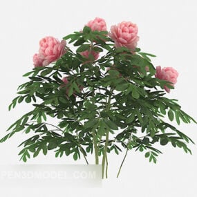โมเดล 3 มิติของต้นไม้ดอกไม้สีชมพูยุโรป