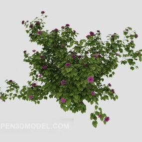 3D-Modell eines Outdoor-Pflanzenblumenstrauchs