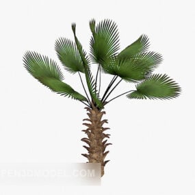 Bitki Palmiye Ağacı 3d modeli