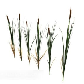 Bitki Pirinç Başak Ağacı 3d modeli