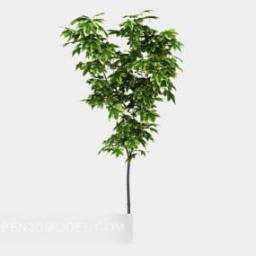 Planta árbol joven modelo 3d