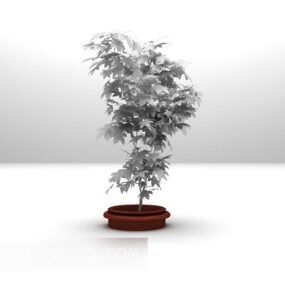 Plant Potted 3d model