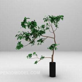 3D model rostlin v květináči se středními listy