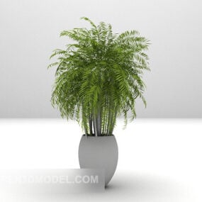 Indoor Plant Potted Plants Furniture 3d model