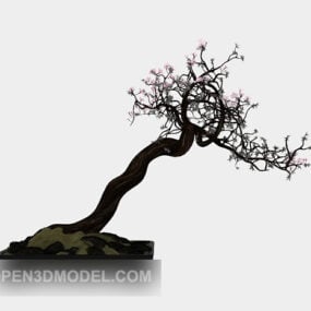 نموذج شجرة بونساي البرقوق ثلاثي الأبعاد