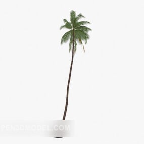 Modello 3d della pianta dell'albero di cocco