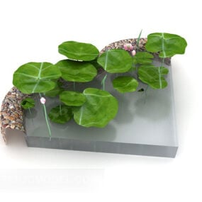نموذج بركة نبات اللوتس ثلاثي الأبعاد
