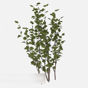Modelo 3d de planta de hoja verde popular
