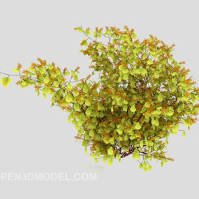 Популярна дика рослина Завантажити 3d модель