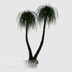Popular Ornamental Outdoor Plant 3d model