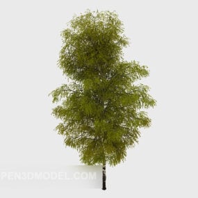 مدل سه بعدی درخت سبز محبوب در فضای باز
