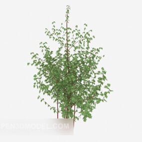 流行的户外植物树苗3d模型