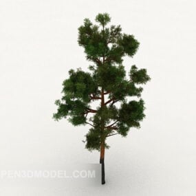 Model 3d Varietas Pine Populer