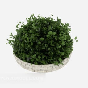 3D-Modell eines eingetopften kleinen Pflanzenstrauchs