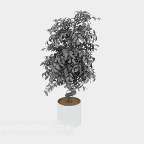 Potted Tree Office Room Decorative 3d model