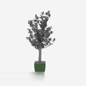 Potted Plants Decor 3d model