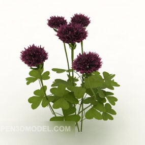 Purple Outdoor Ornamental Plant 3d model