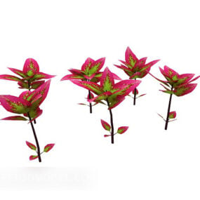 Modelo 3d de planta externa de folha vermelha