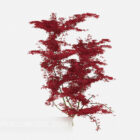 Červený list rostlin strom
