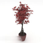Røde blade potteplante dekoration