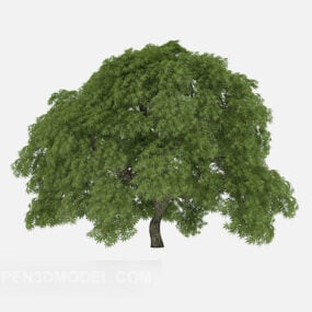 Gartenpflanze Baum Breitblatt 3D-Modell